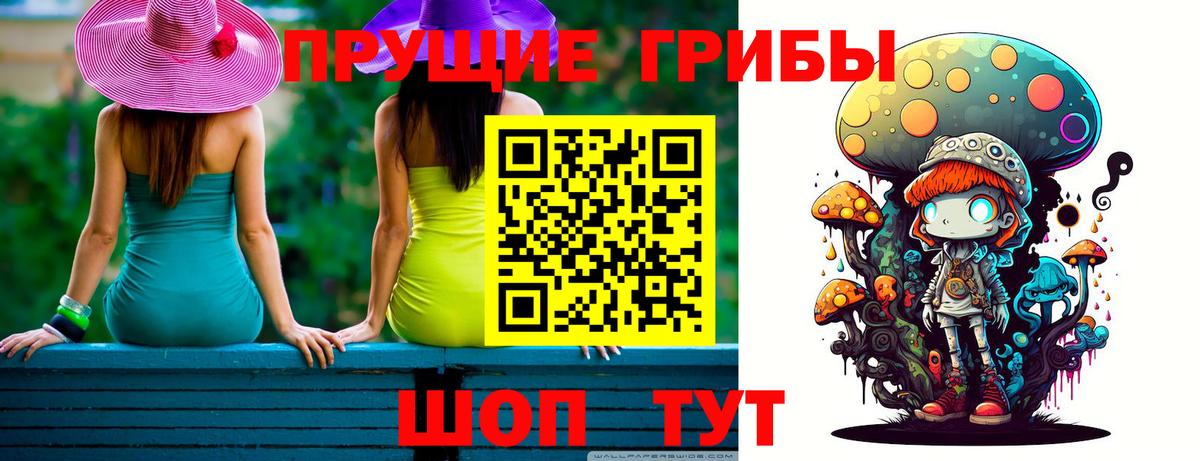 Новотроицк  Псилоцибиновые грибы прущие грибы  Вход с VPN 
