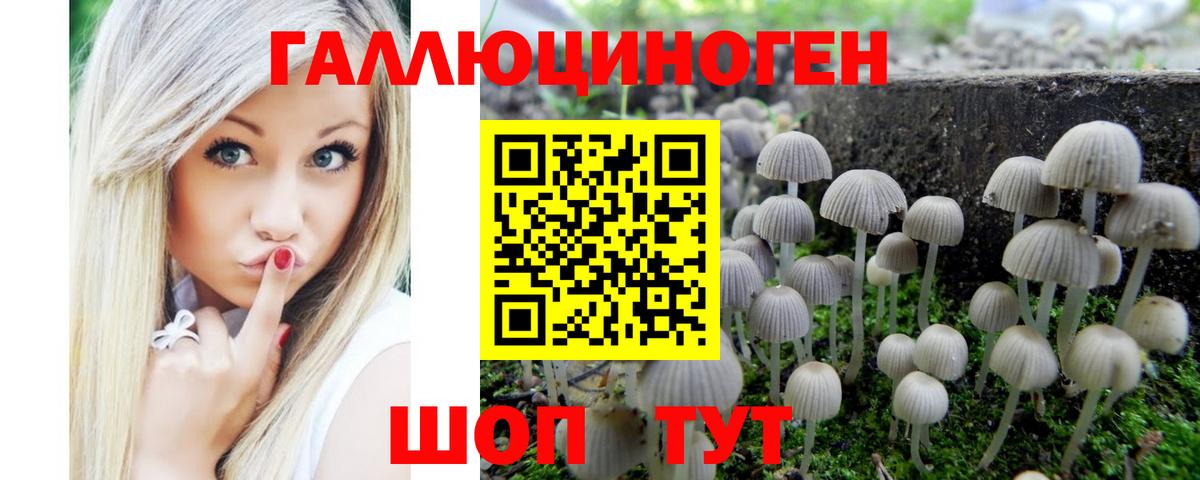 Псилоцибиновые грибы ЛСД Новотроицк